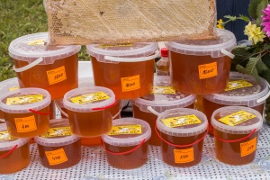 15 августа 2020 г. приглашаем пчеловодов-профессионалов и просто любителей принять активное участие в главном событии лета 2020 года – «Гурт-фест» - фестиваль по-деревенски! Ждём вас на ярмарку мёда и медовой продукции!
