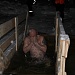 В музее "Лудорвай" начались крещенские купания!